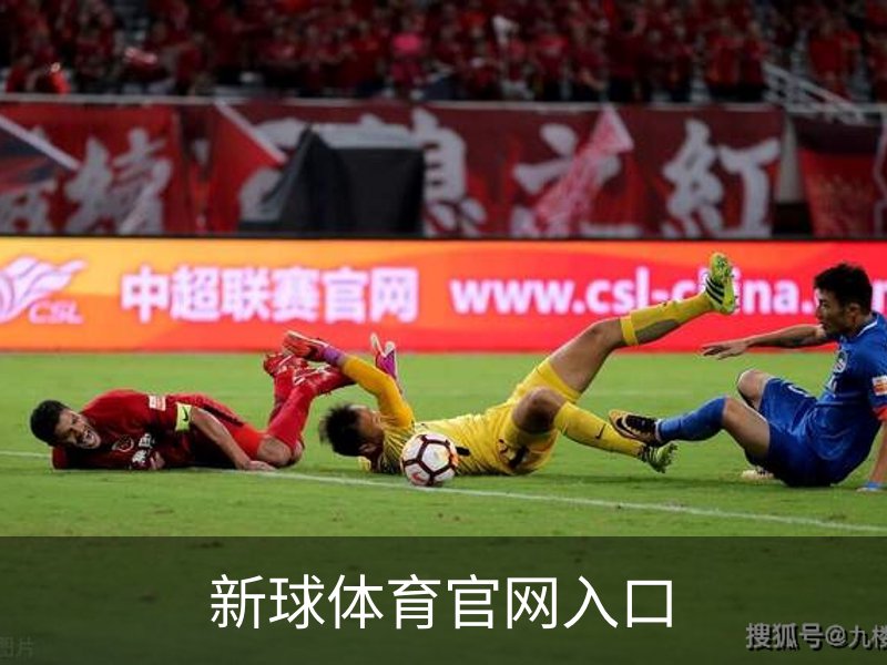 新球体育官网入口概况